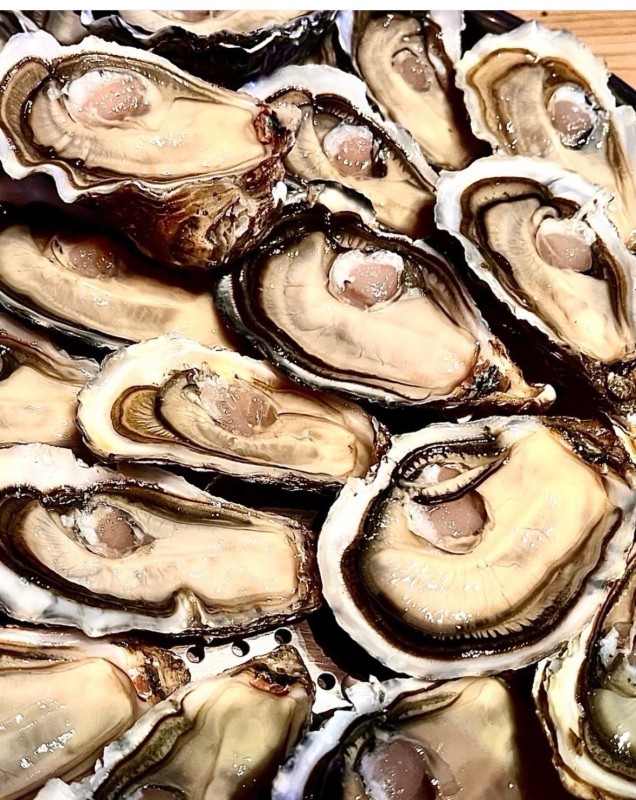 Parc de l’impératrice - Joël Dupuch 