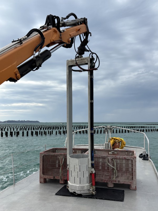 Moules de Bouchot PAC et TRAD Normandes LONGUET