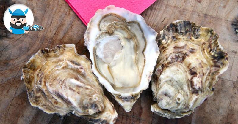 Huitres Spéciales de Veules