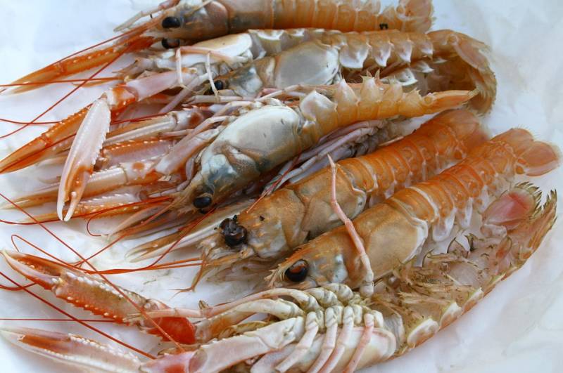 Langoustines Vivantes, crues, congelées ou cuites
