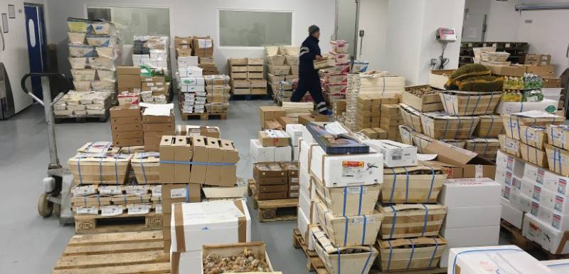 Marché de gros - Distribution alimentaire ROUEN MIN DE ROUEN