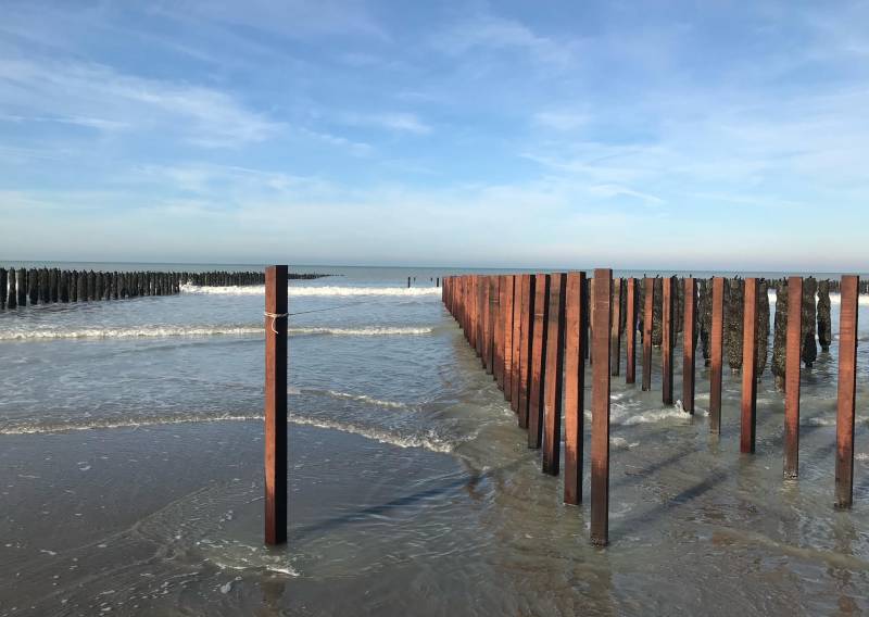 Moules de Bouchot du Crotoy