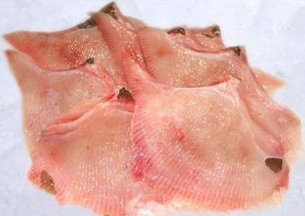 Aile de Raie fraiche pour GMS, poissonneries, collectivités et restaurants en Normandie