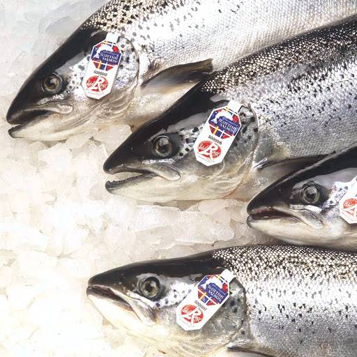 Saumon supérieur Label Rouge pour GMS, poissonneries, collectivités et restaurants en Normandie ?