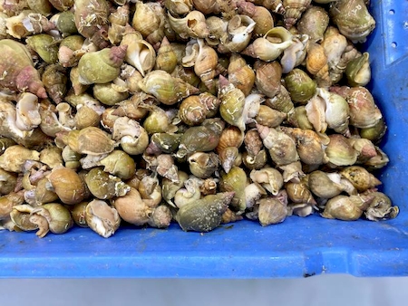 Notre zone d'activité pour ce service Soupe et terrine de poisson à la vente en gros