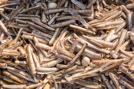 Nos prestations sur le secteur de Caen