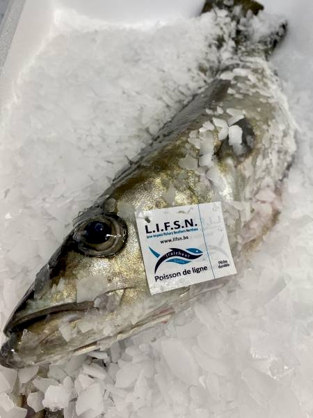 Nos prestations sur le secteur de Le Havre