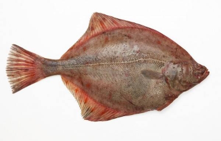 Nos prestations sur le secteur de Deauville