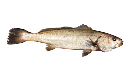 Nos prestations sur le secteur de Le Havre