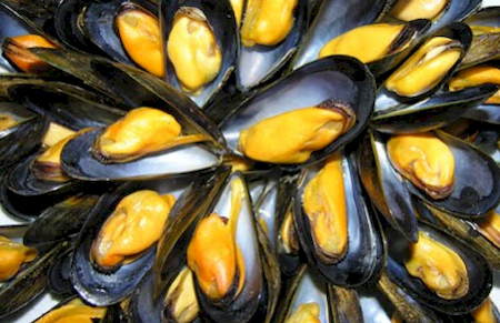 Notre zone d'activité pour ce service Achat de gros de colin ou de lieu