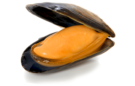 Nos prestations sur le secteur de Rouen