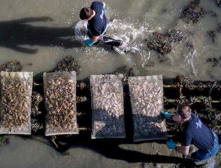 Nos prestations sur le secteur de Deauville