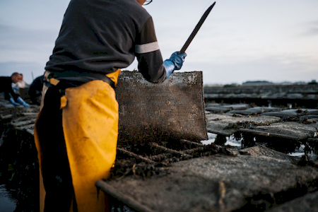 Notre zone d'activité pour ce service Achat d'huîtres et de moules en gros