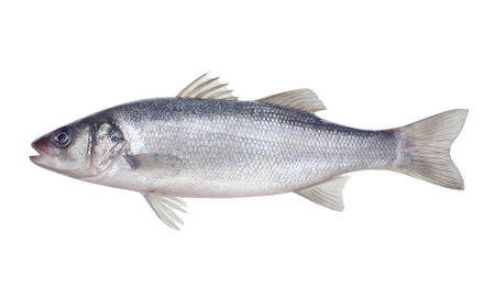 Notre zone d'activité pour ce service Acheter en gros poissons et fruits de mer pour poissonnerie ou épicerie fine