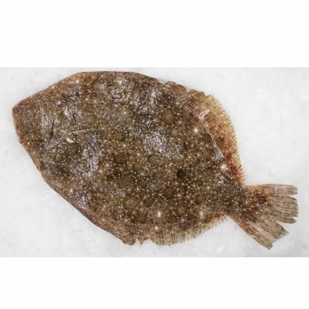 Nos prestations sur le secteur de Caen