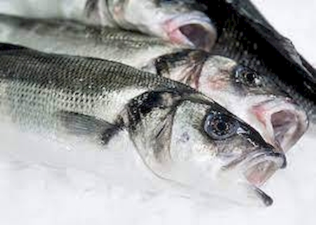 Notre zone d'activité pour ce service Soupe et terrine de poisson à la vente en gros