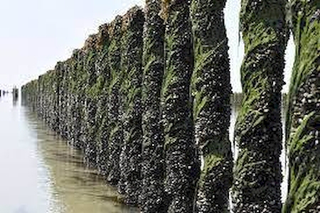 Nos prestations sur le secteur de Amiens