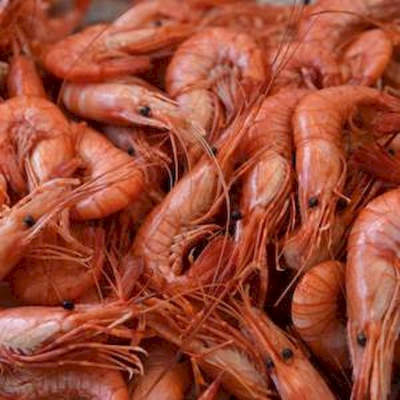 Notre zone d'activité pour ce service Acheter en gros poissons et fruits de mer pour poissonnerie ou épicerie fine