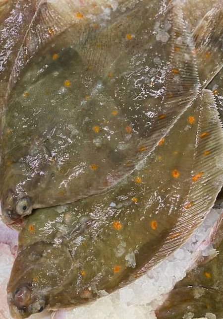 Notre zone d'activité pour ce service Achat en gros de découpes et filets de poisson