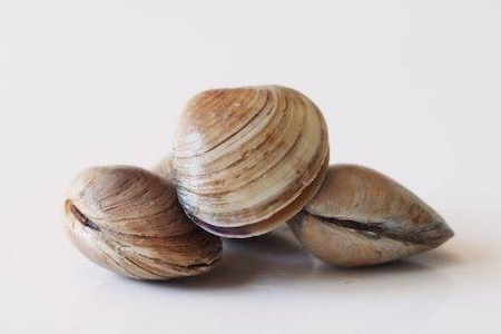 Nos prestations sur le secteur de Deauville