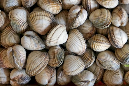 Notre zone d'activité pour ce service Fourniture de produits de la mer pour GMS et grande distribution