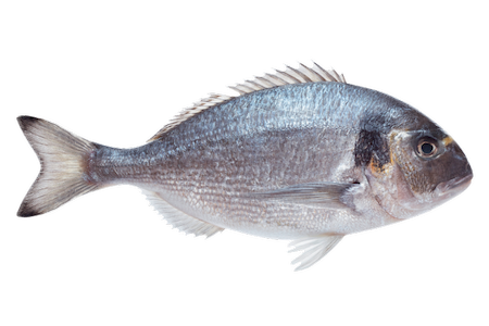 Notre zone d'activité pour ce service Grossiste en coquillages et crustacés