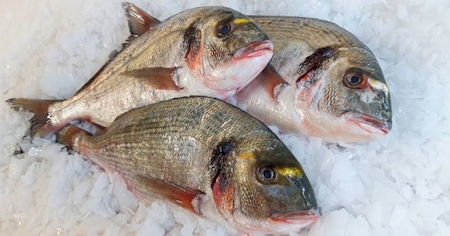 Notre zone d'activité pour ce service Fournisseur de poissons et fruits de mer pour professionnels de la restauration
