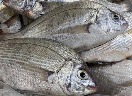 Notre zone d'activité pour ce service Soupe et terrine de poisson à la vente en gros