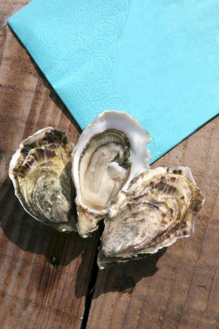 Nos prestations sur le secteur de Le Havre