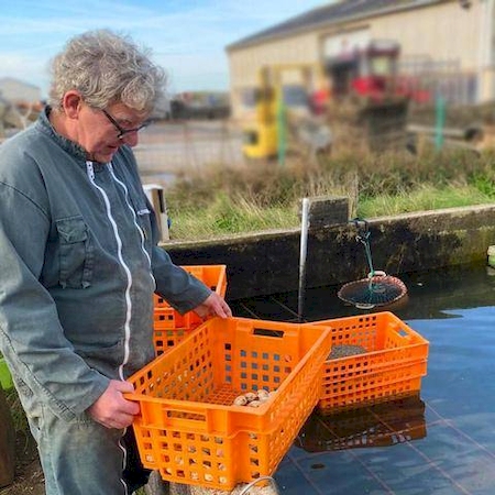 Notre zone d'activité pour ce service Achat d'huîtres et de moules en gros