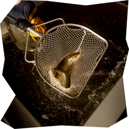 Nos prestations sur le secteur de Beauvais