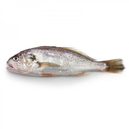 Notre zone d'activité pour ce service Achat en gros de découpes et filets de poisson