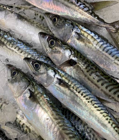 Notre zone d'activité pour ce service Distribution de poisson frais français de haute qualité pour professionnels de la restauration