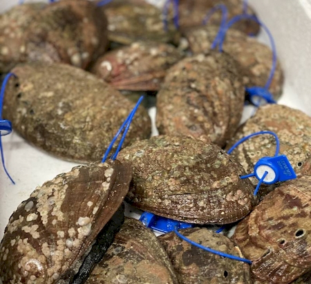 Notre zone d'activité pour ce service Grossiste en coquillages et crustacés