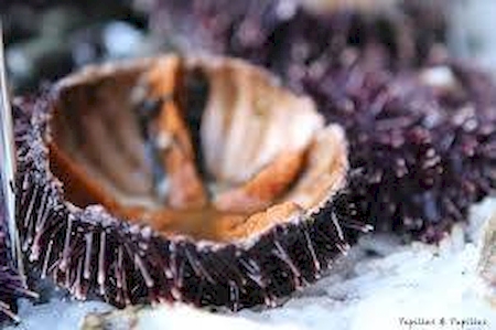 Nos prestations sur le secteur de Rouen