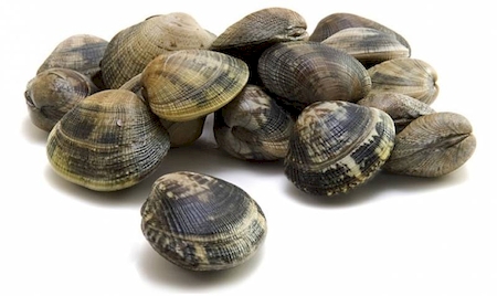 Notre zone d'activité pour ce service Distribution de poisson frais français de haute qualité pour professionnels de la restauration