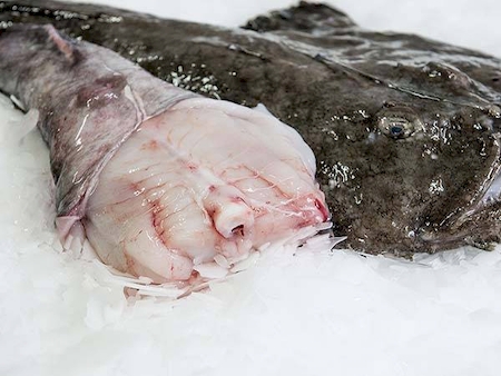 Nos prestations sur le secteur de Deauville