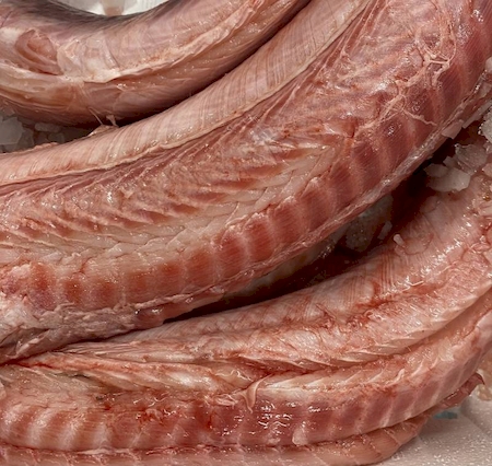 Notre zone d'activité pour ce service Grossiste pour vente de poissons frais