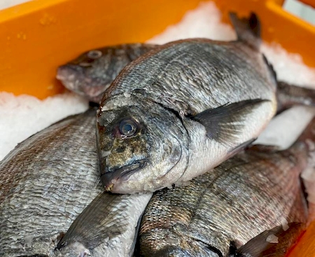 Notre zone d'activité pour ce service Fournisseur de poissons et fruits de mer pour professionnels de la restauration